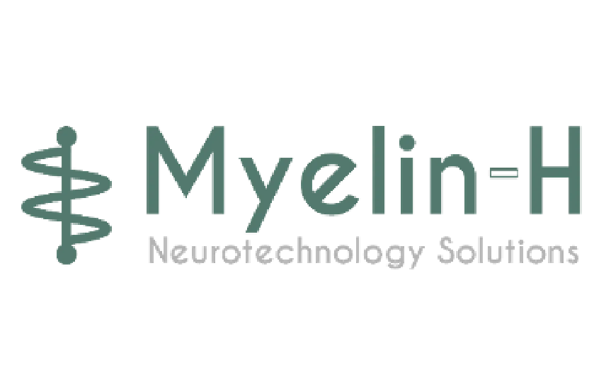 Myelin-H