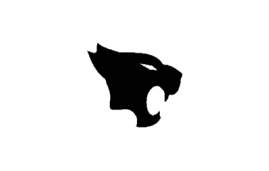 XO Esport and entertainment